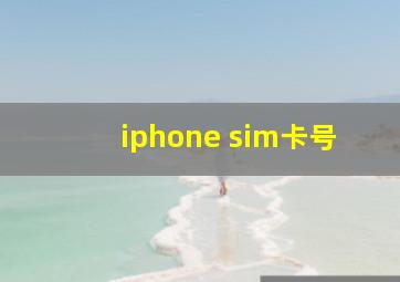 iphone sim卡号